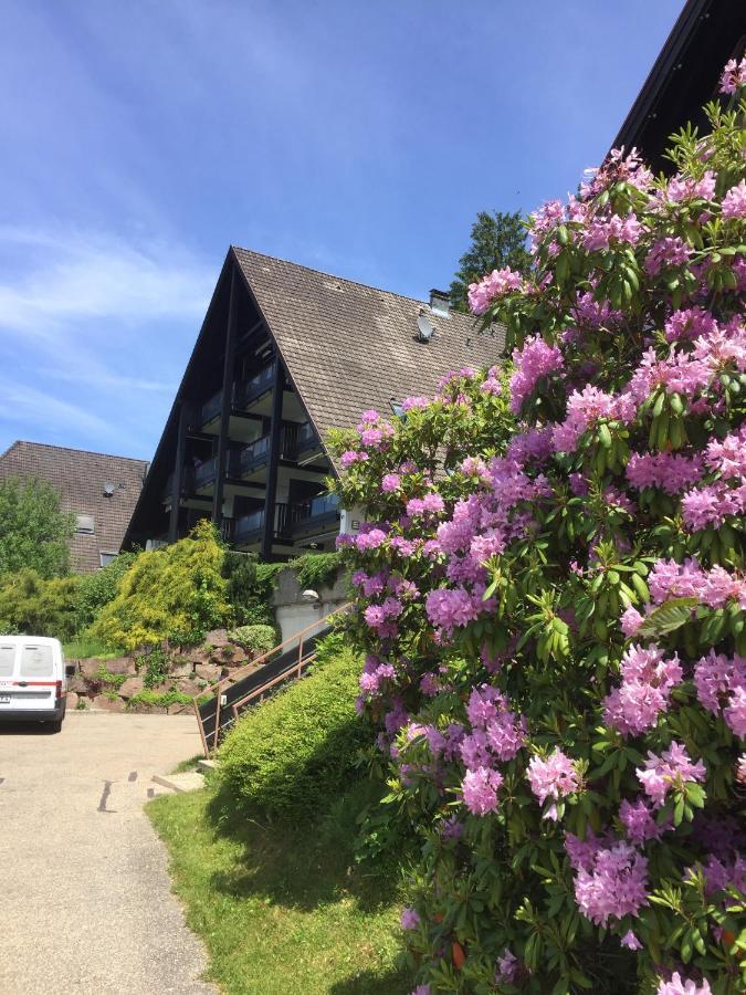 On The Hill Sasbachwalden Exterior foto